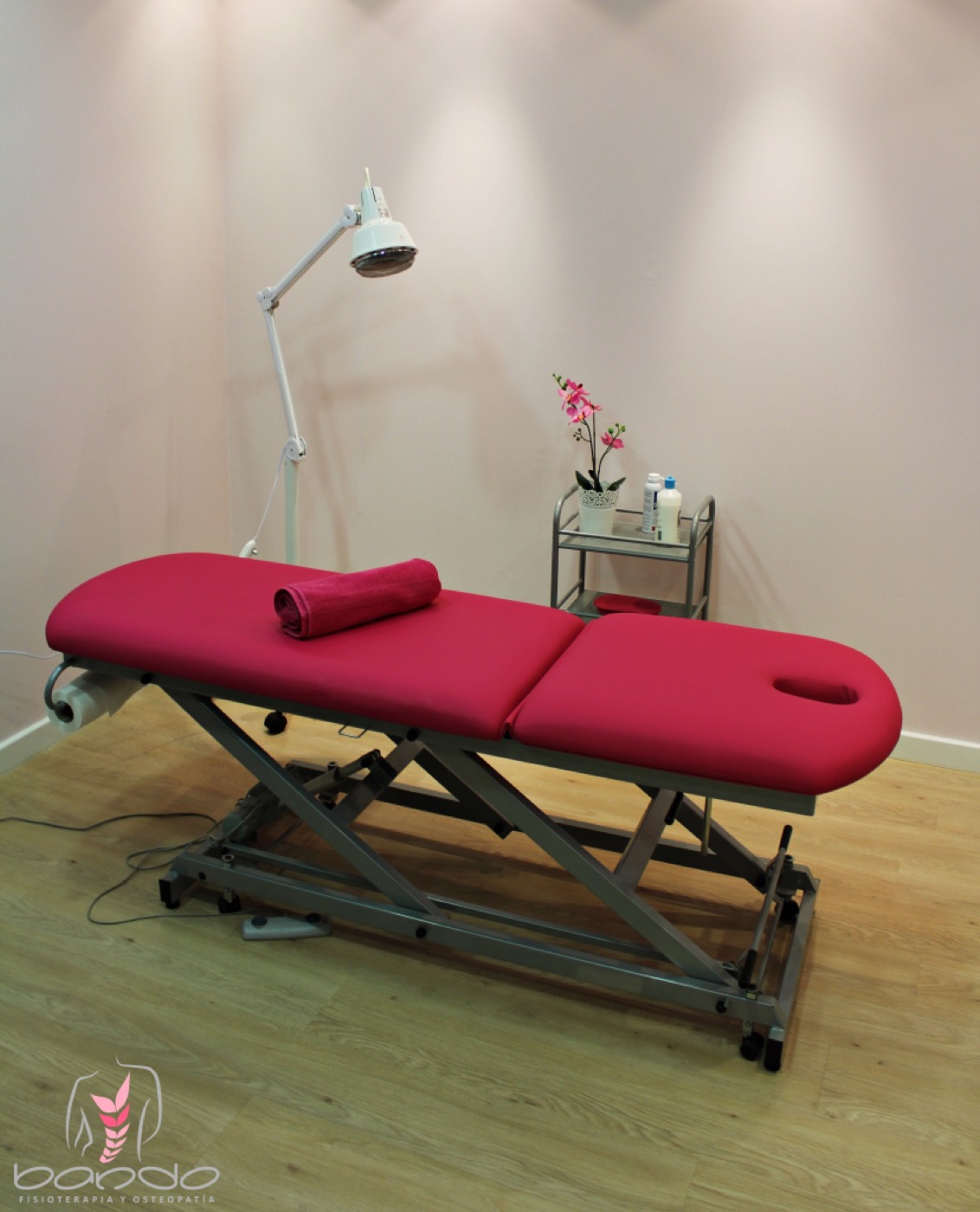 Electrolisis percurtánea ecoguiada (EPI) en Fisioterapia Bando, Madrid
